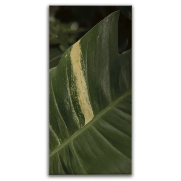 A Detail In Green - Maui, Hawaii