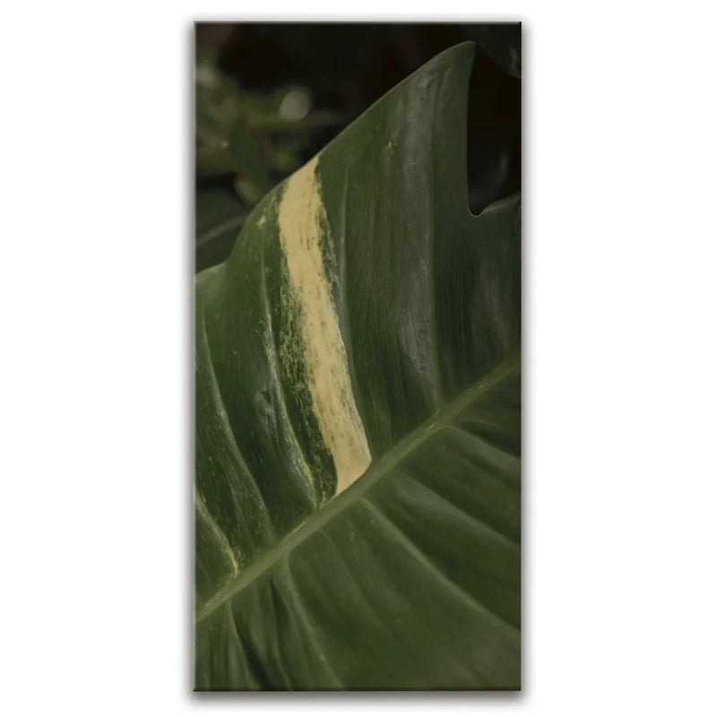 A Detail In Green - Maui, Hawaii