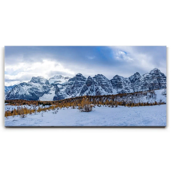 Above the Tree Line