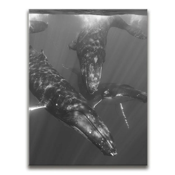 All Together In B&W - Tahiti