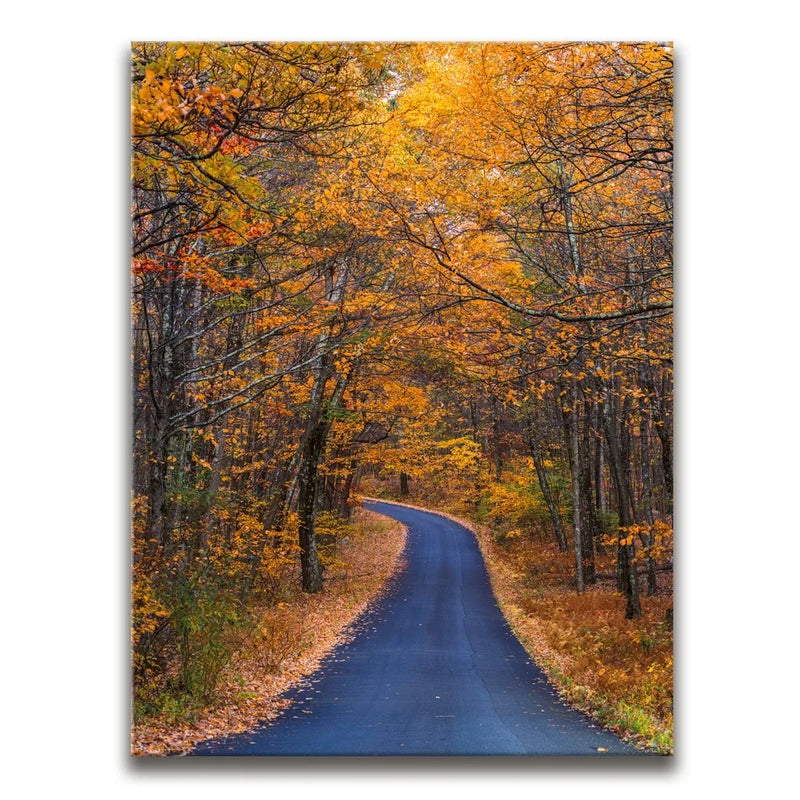 Amber Trail