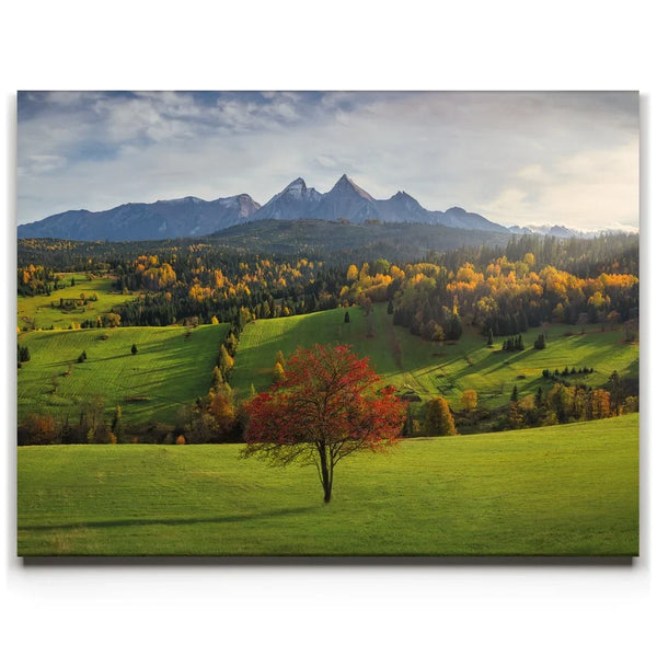 Autumn in the Tatras - Tatra Mountains, Slovakia