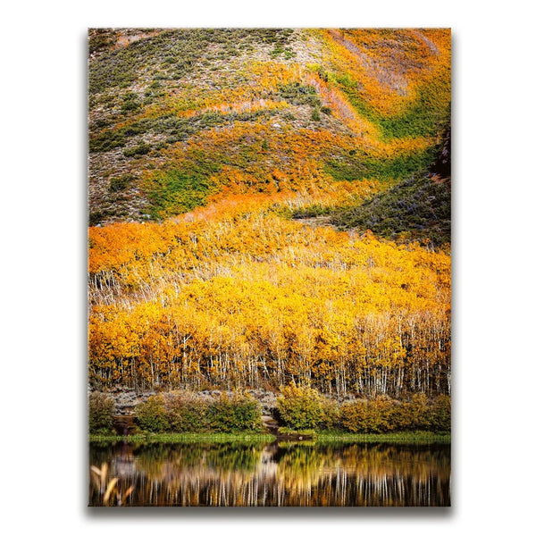 Autumn River