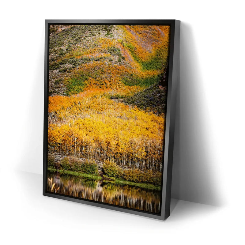 Autumn River
