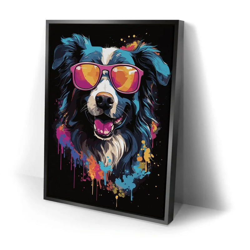 Border Collie Rockstar