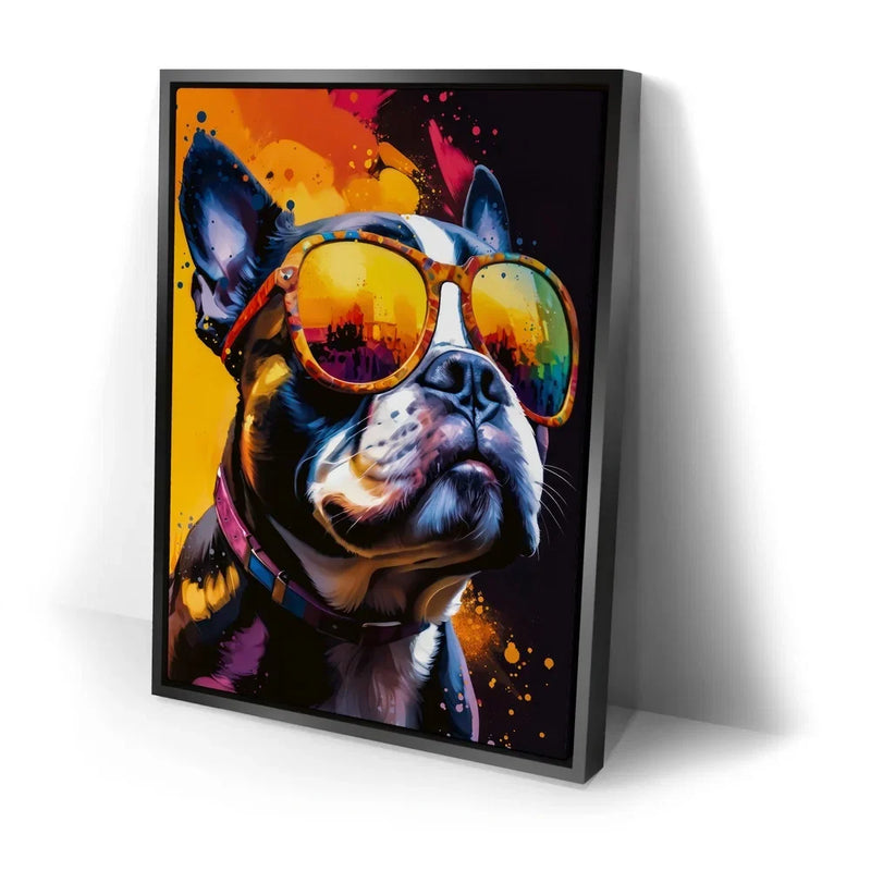 Boston Terrier Cool