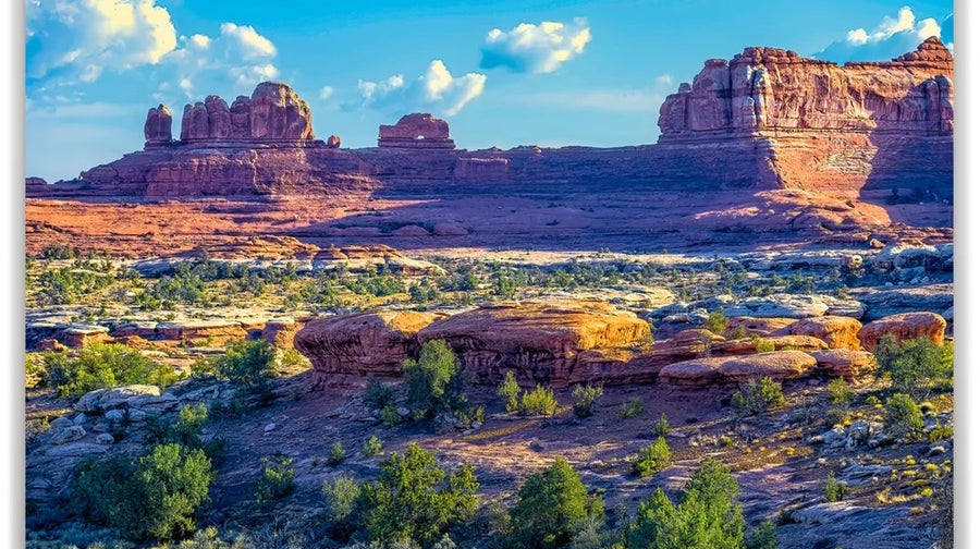 Canyonlands Vista