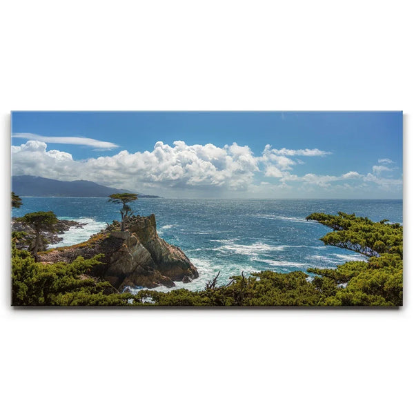 Cypress on a Cliff - Vista, Carmel CA