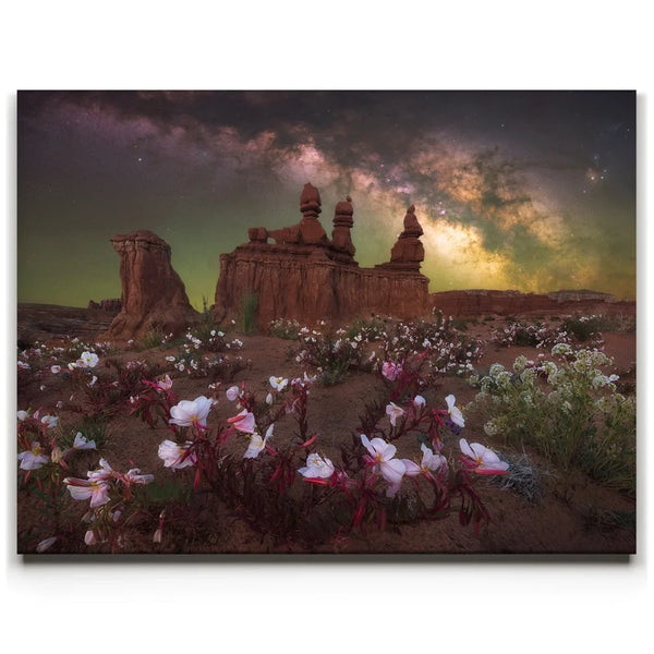Desert Bloom - Goblin Valley State Park, Utah