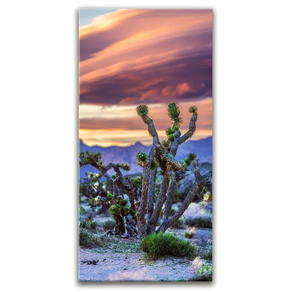 Desert Sunset Silhouettes
