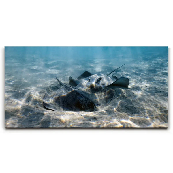 Double Stingray - Tahiti