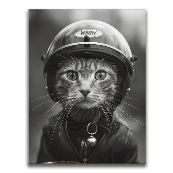 Fast and Furry-ous