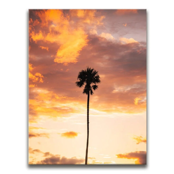 Fire Palm
