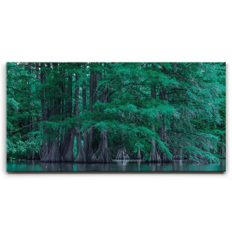 Forest Reflection