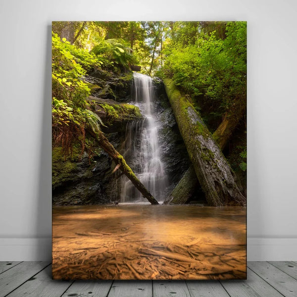 Fort Bragg Falls