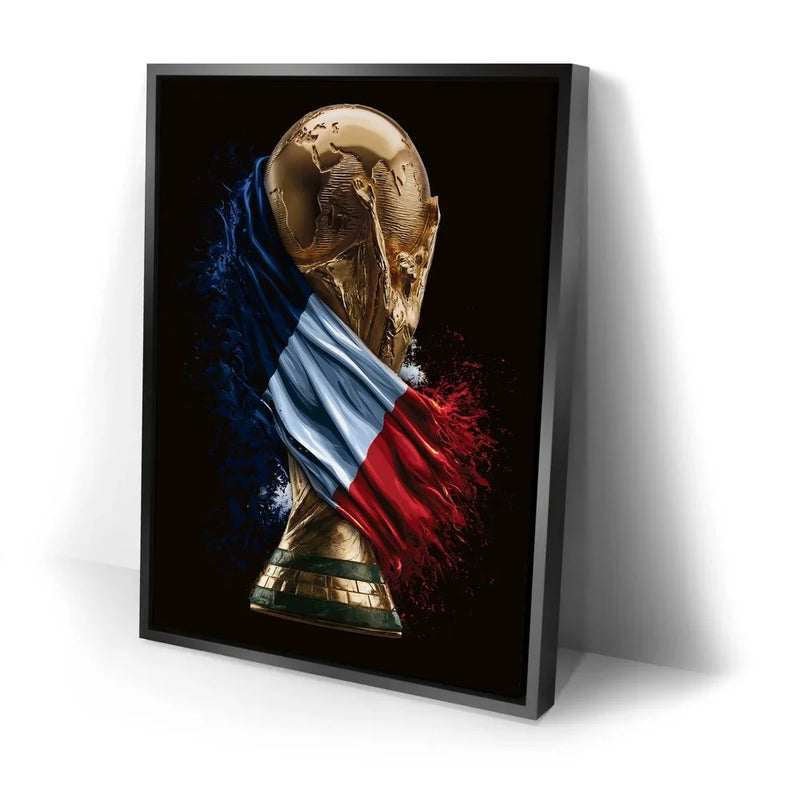 France, Draped in Destiny - Football