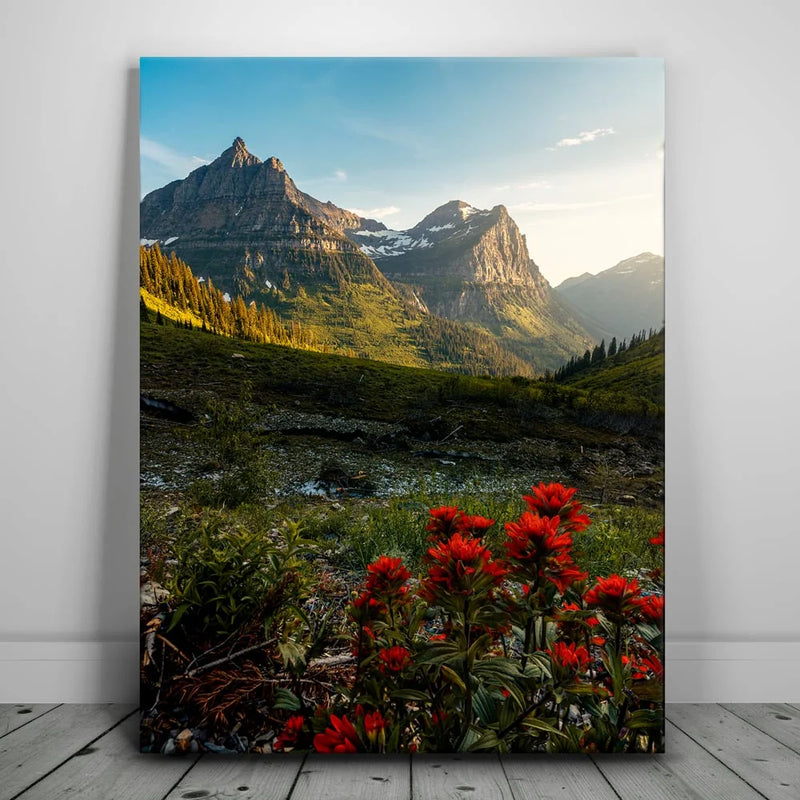Going to the Sun Road, Glacier National Park