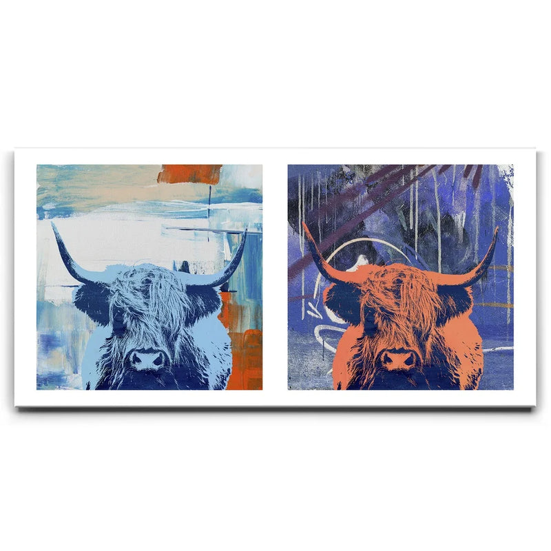Highland Cows