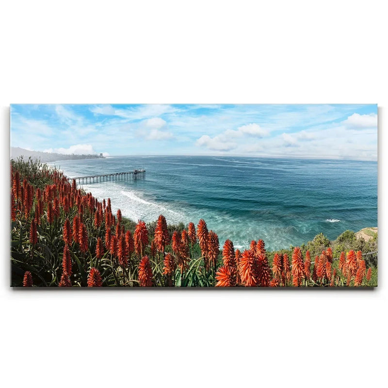 La Jolla Coast Wildflowers