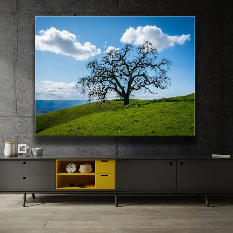 Lone Tree Hill