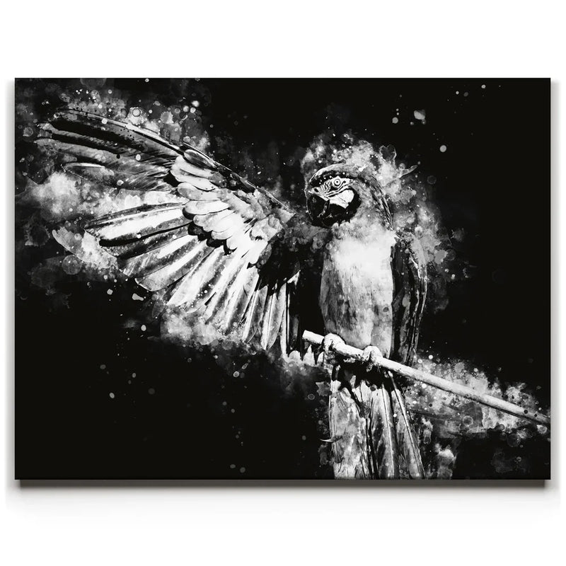 Macaw - Watercolor II - Black and White