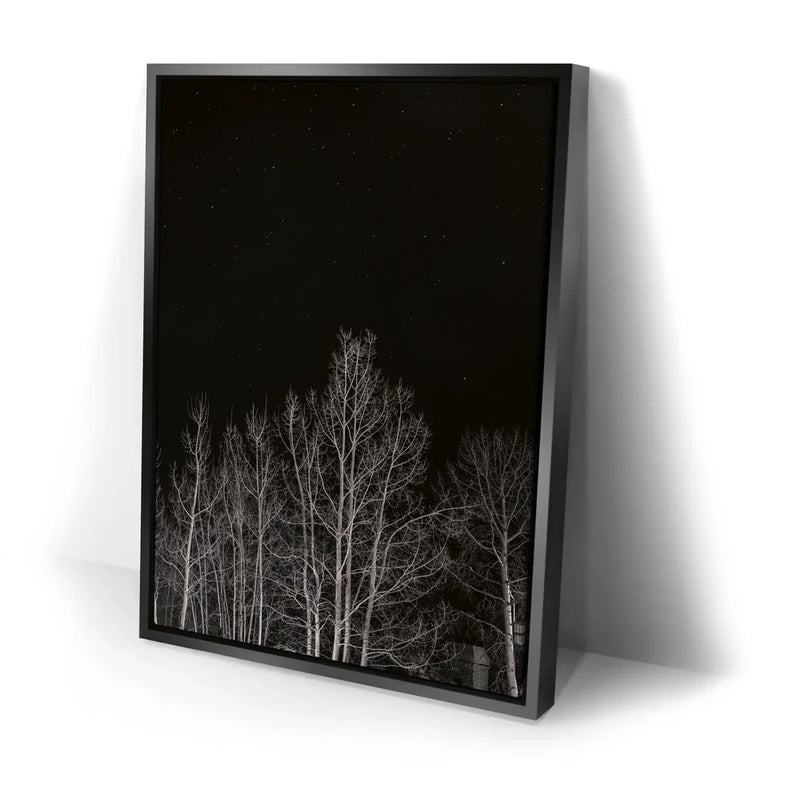 Midnight Aspens - Aspen CO