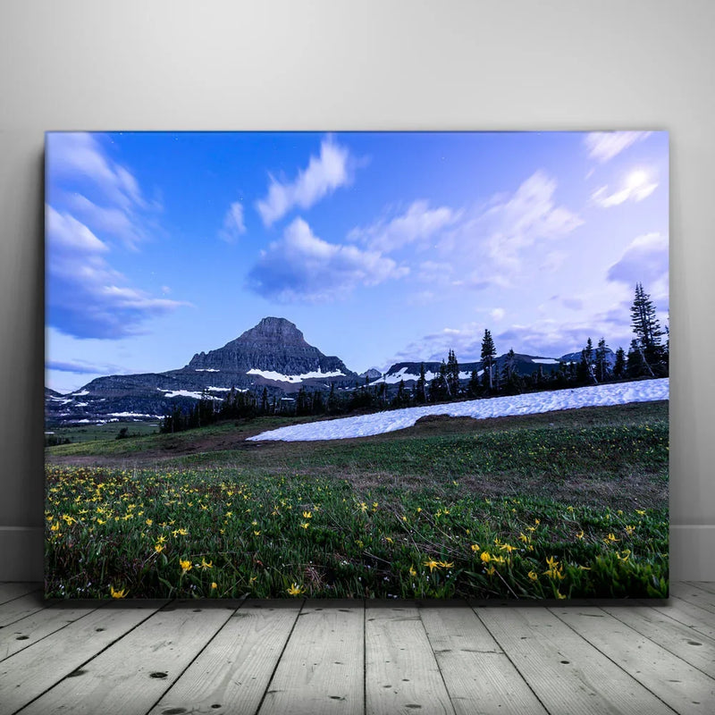 Moonlit Meadow
