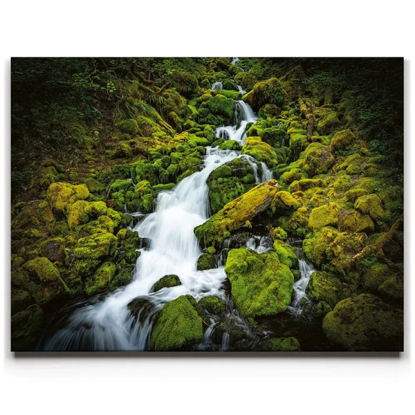 Mossy Waterfall