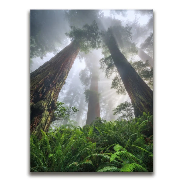 Nature's Sentinels