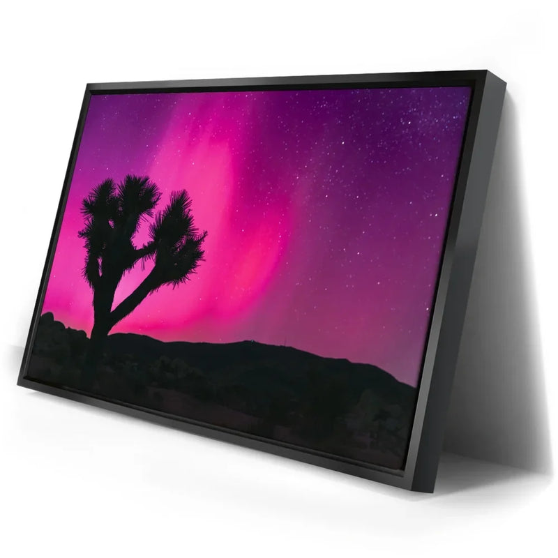 Northern Lights At Joshua Tree