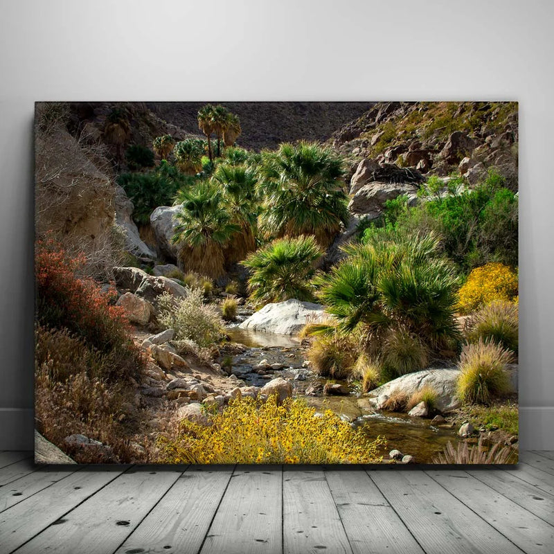 Oasis Valley