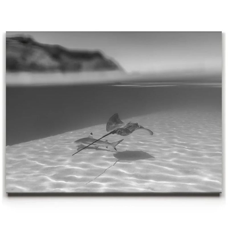 Overlap B&W - Tahiti