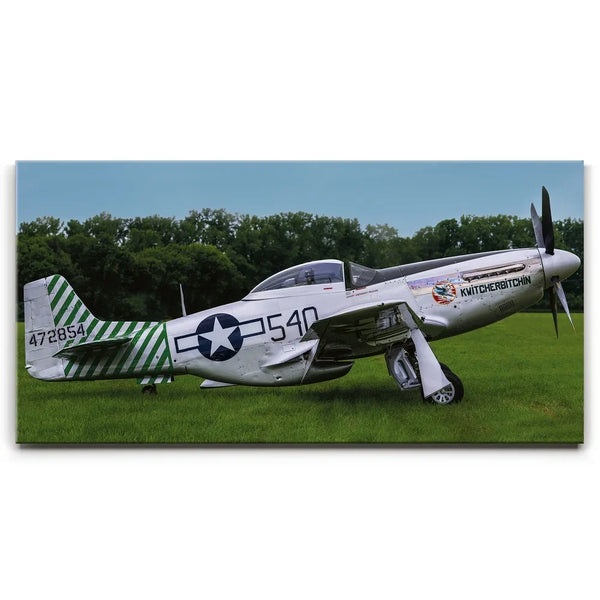 P51D Mustang