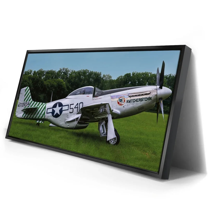 P51D Mustang