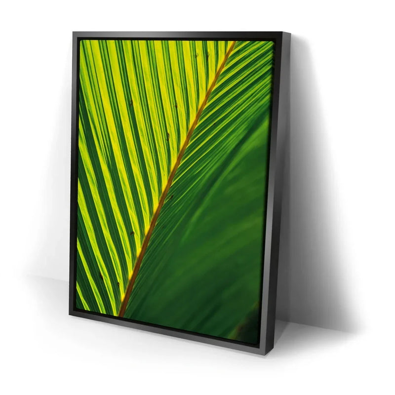 Palm Serenity