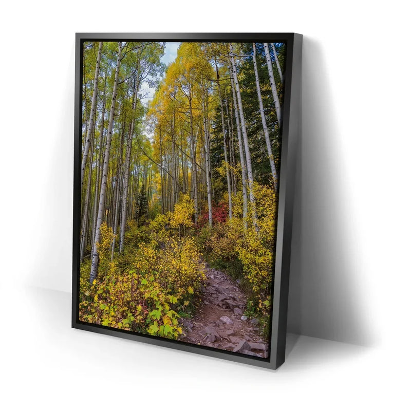 Path of the Aspens