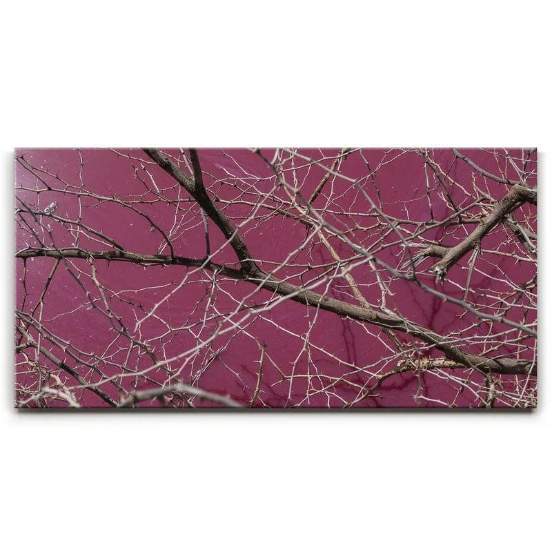 Pink Pond II - Maui, Kealia Pond