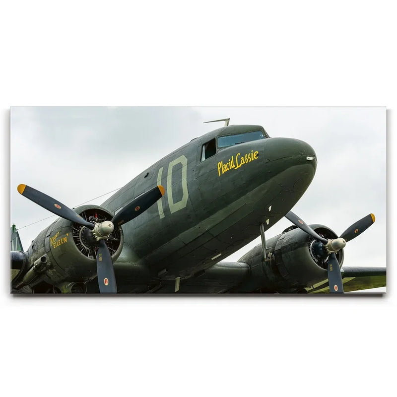 Placid Lassie C-47