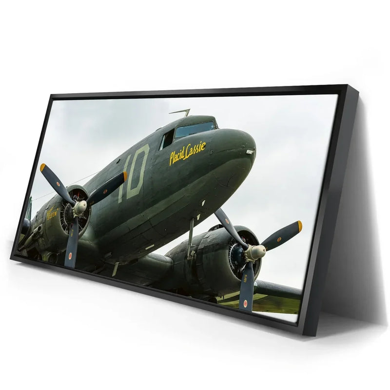 Placid Lassie C-47