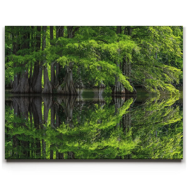 Reflections Of Serenity