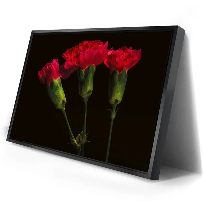 Scarlet Blooms