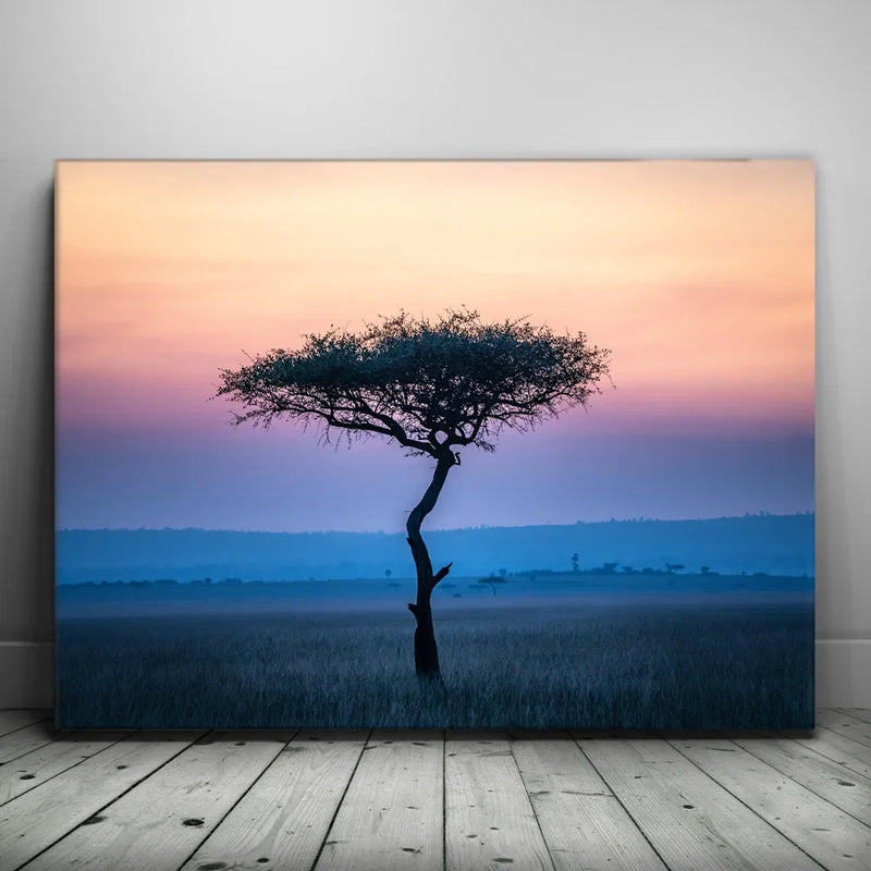 Serengeti Slowdown