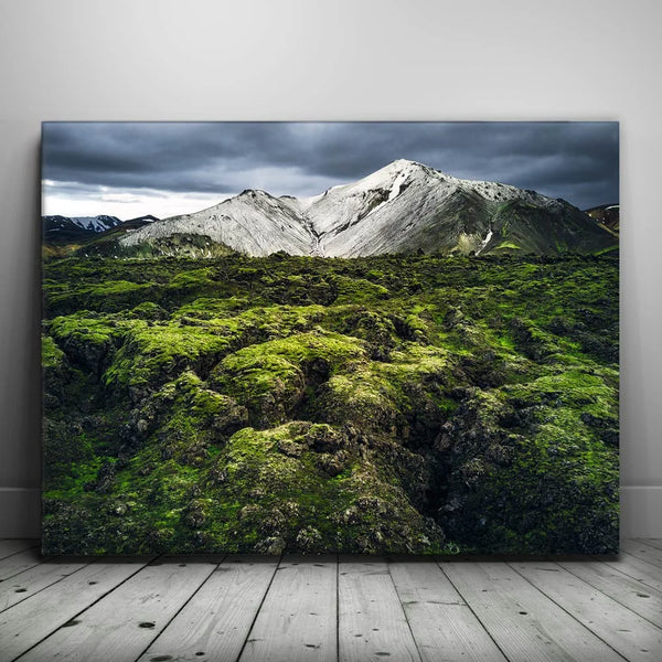 Snowy Serenity - Iceland