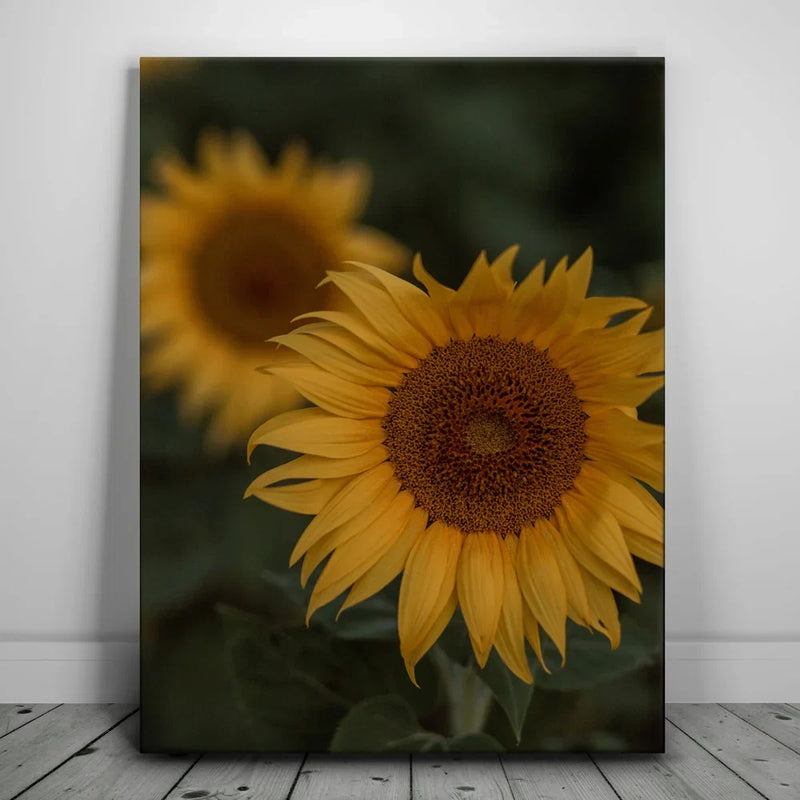 Sunflowers, Maui