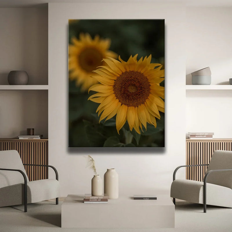 Sunflowers, Maui