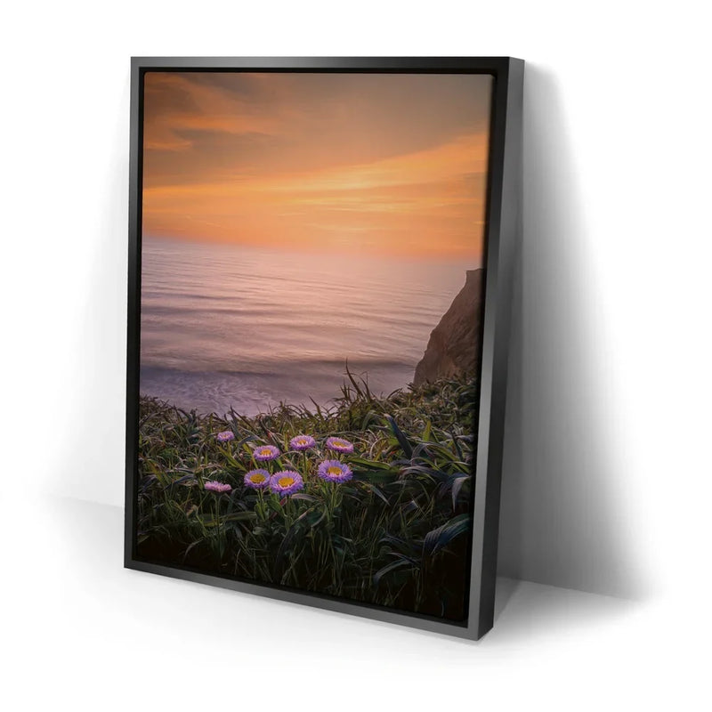 Sunset Bloom
