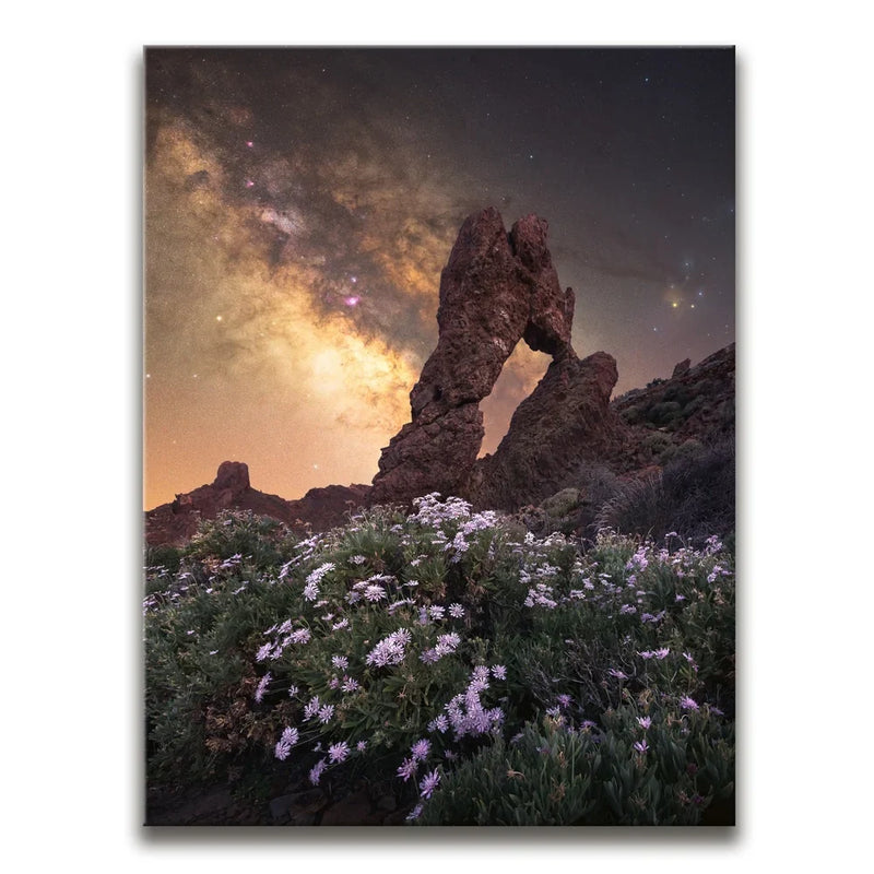 Tenerife - Teide National Park, Tenerife