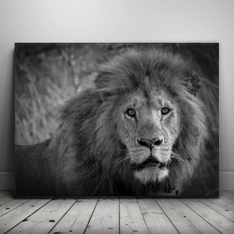 The Mane Event