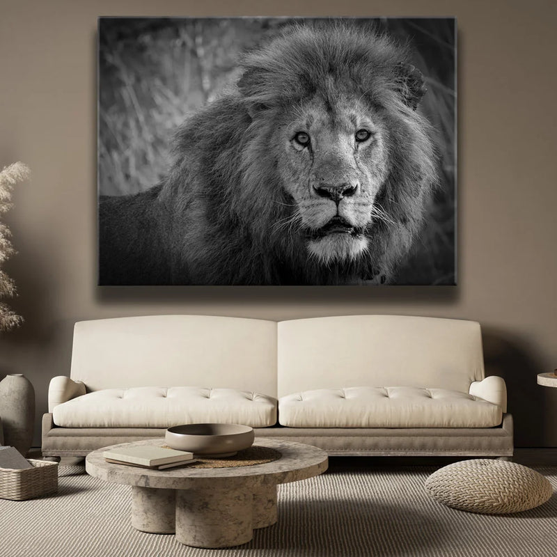 The Mane Event