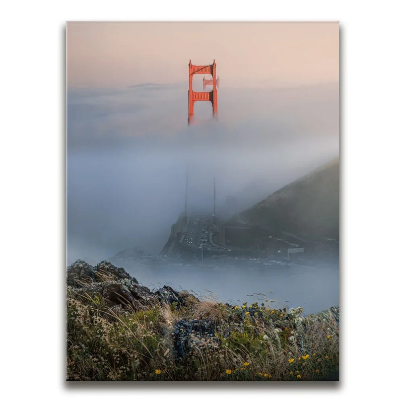 Through The Fog - San Francisco